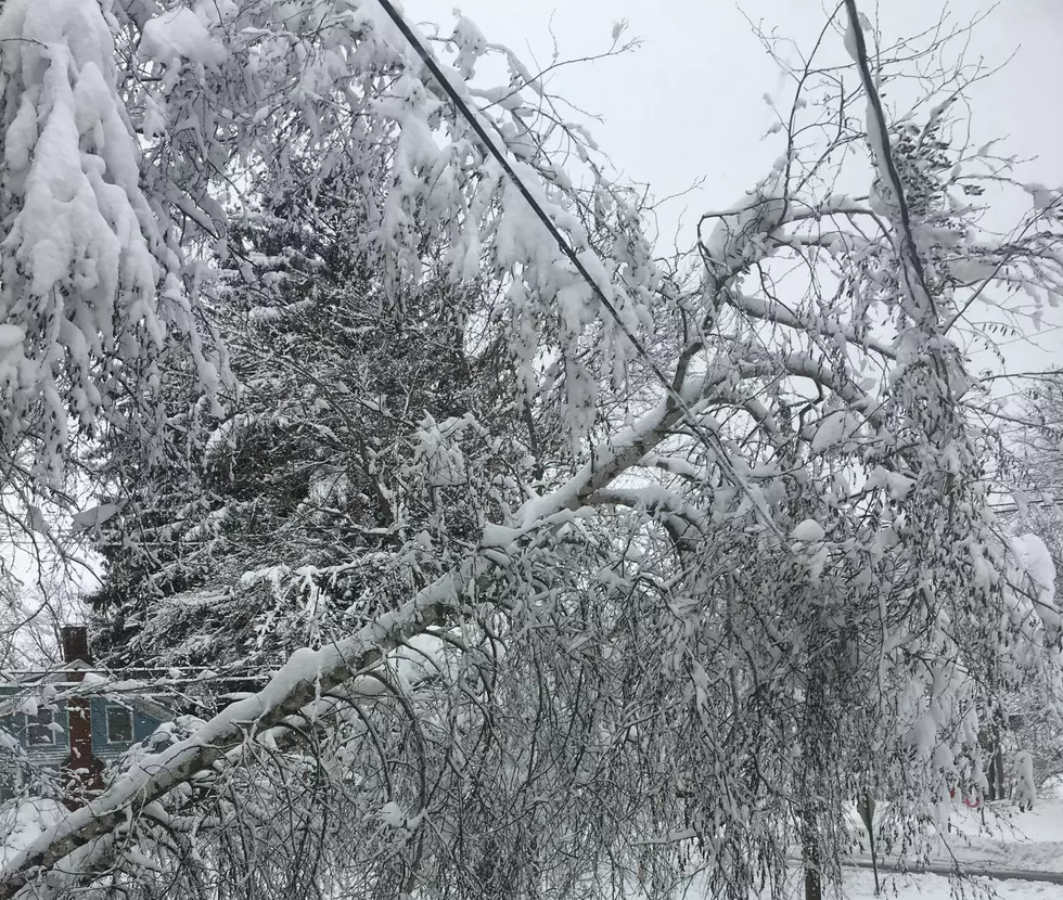Who Do You Call For Power Line Issues In CNY?