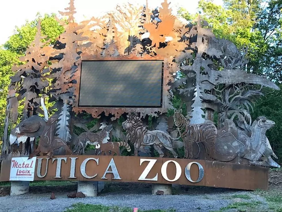 Utica Zoo Receives Prestigious National Accreditation