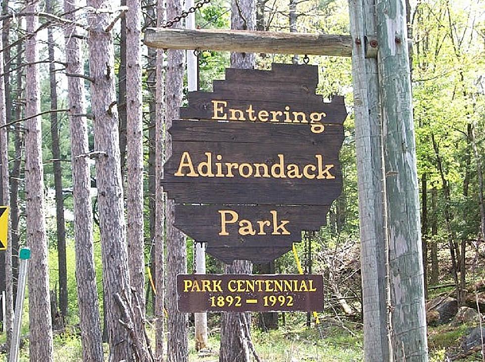 You Have More to Worry About Than Just Deer in the Adirondacks
