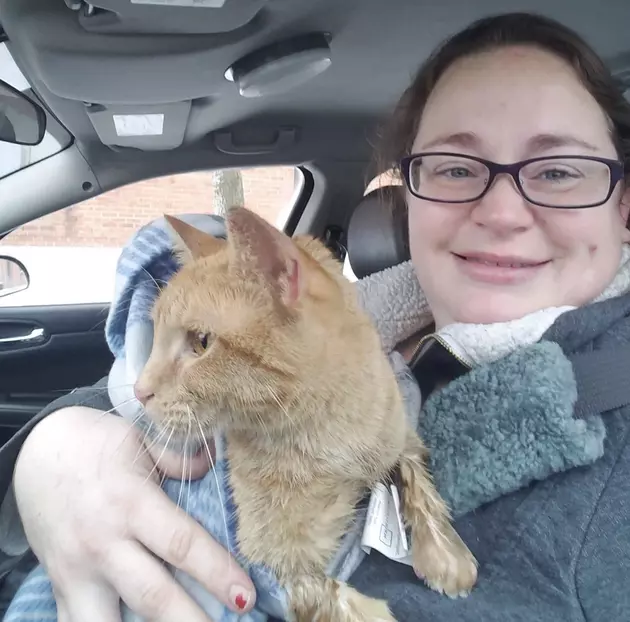 Central New York Woman Saves Cat From Frozen Predicament