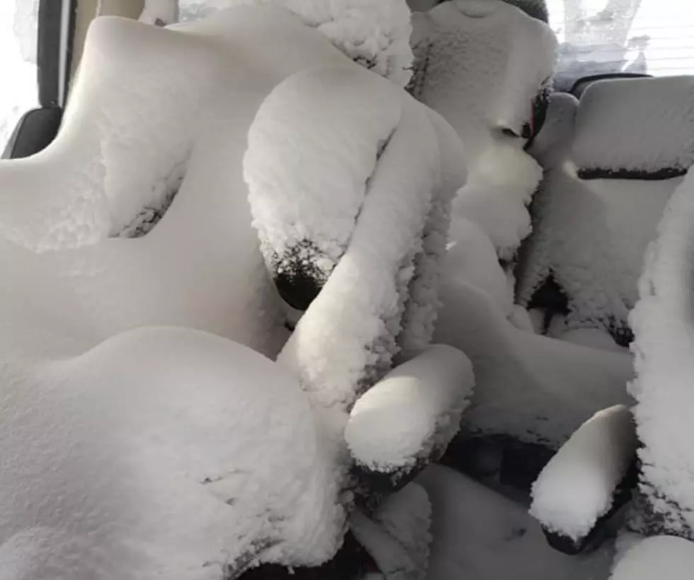 Here's Why You Should Always Shut The Car Door During a Blizzard