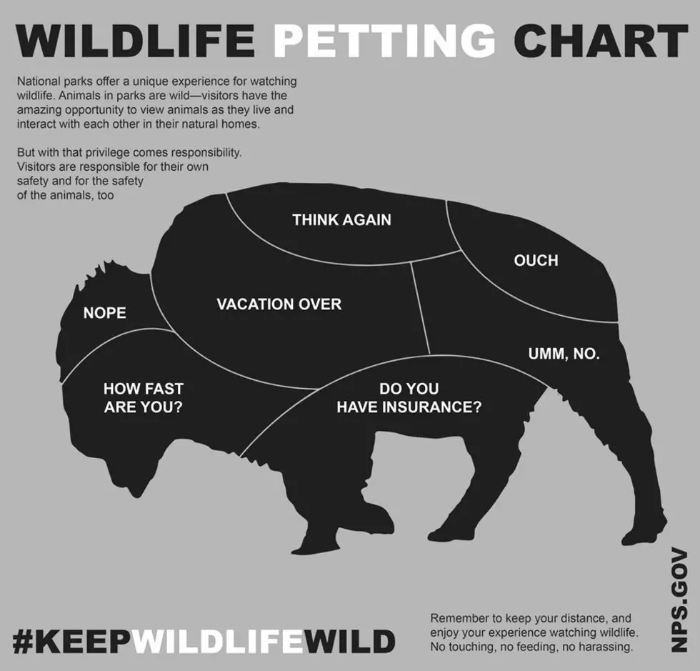 Official Map Shows Where to Pet a Roaming Buffalo