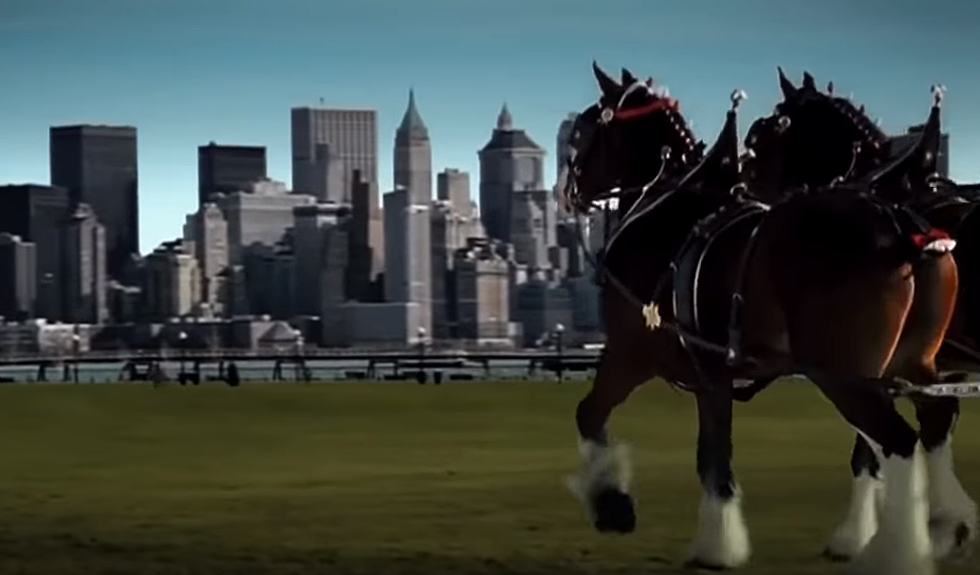 The Story Behind The Iconic 9/11 Budweiser Ad That Aired Only Once