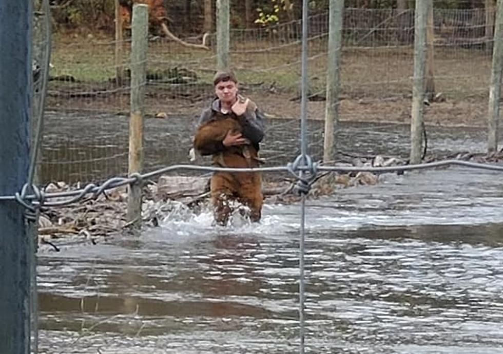 Fort Rickey Discovery Zoo Workers Goes Extra Mile to Keep Animals Safe From Flood Waters