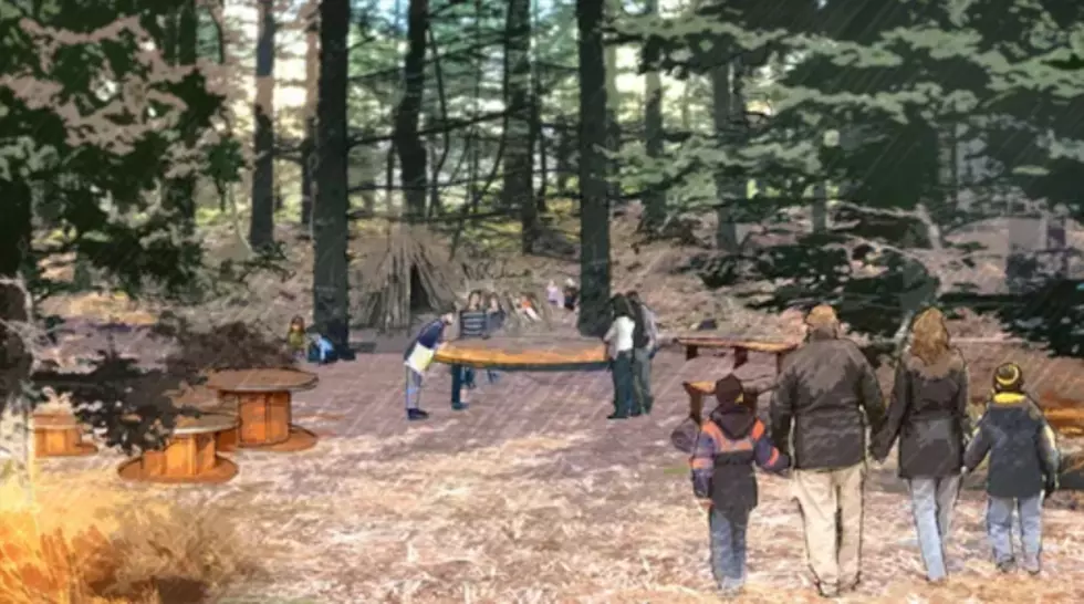 Autism Nature Trail Will Be the First of Its Kind in New York State