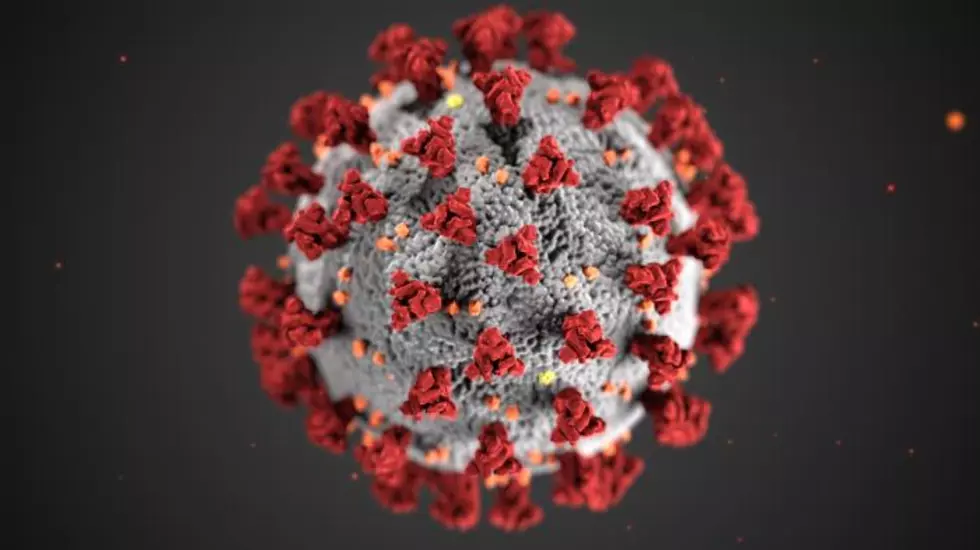 Broome Reports Second Coronavirus Death, Positive Cases in Surrounding Counties