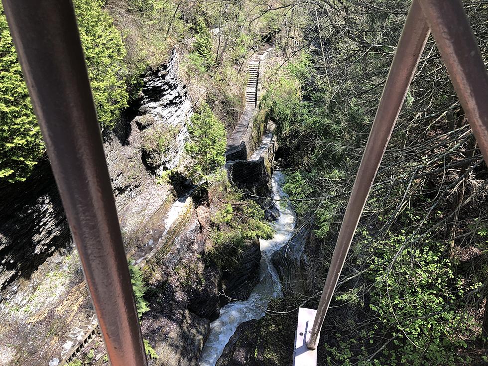 Challenging Hikes and Beautiful Falls at Watkins Glen State Park