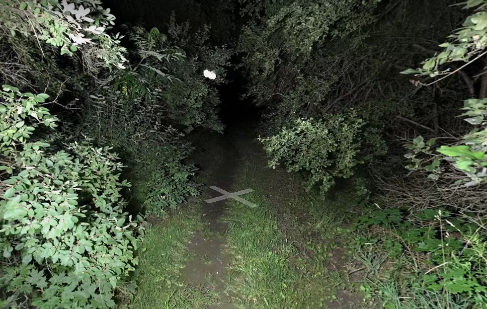 Weird NY: The Paranormal Thompson Park Inter-dimensional Vortex