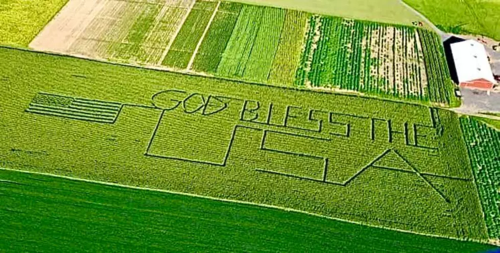 Barneveld Farmers Carve Patriotic Maze into Corn Field
