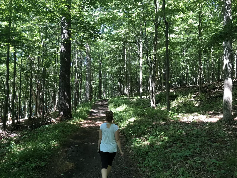 Hike a ‘Sleeping Lion’ Less Than an Hour from Utica
