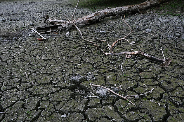 Drought Watch Issued For Oneida and Herkimer Counties