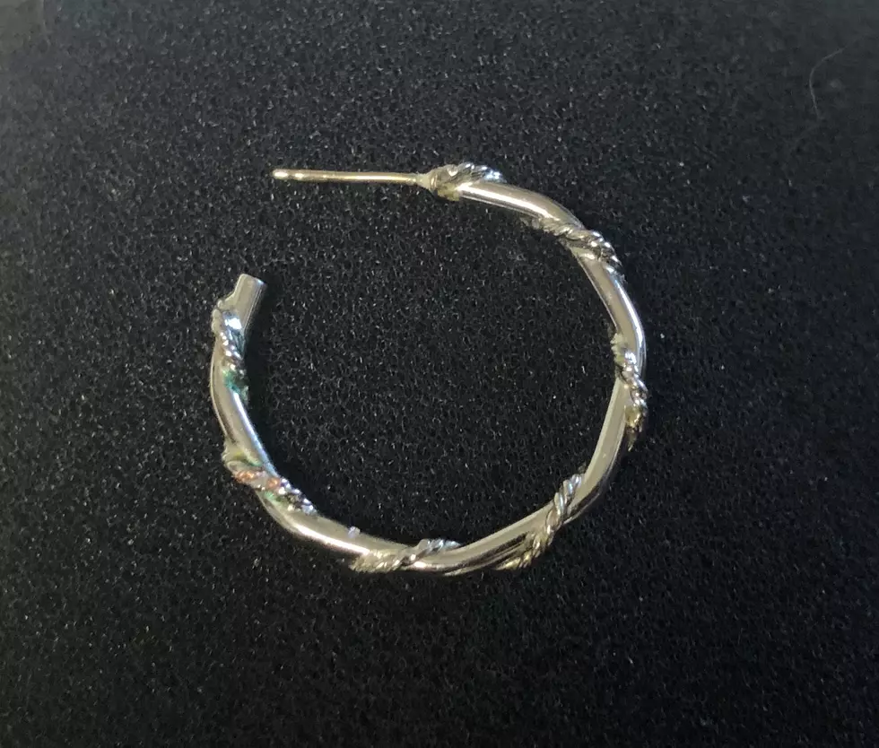 Help Re-Unite This Earring with its Owner