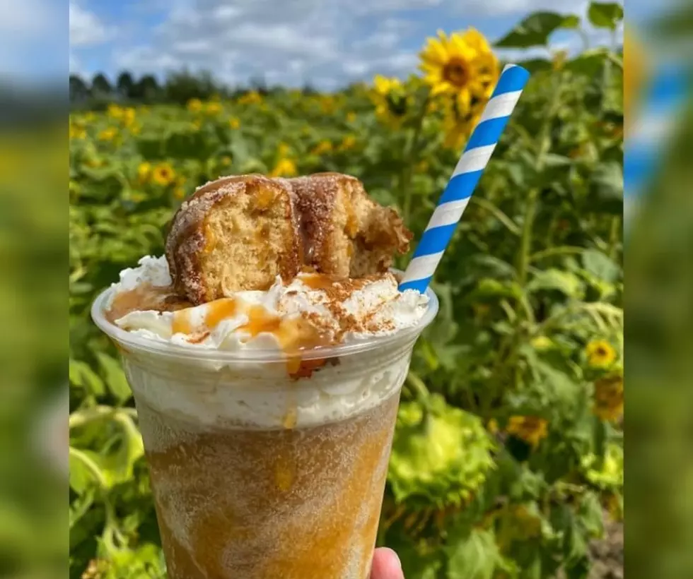 Windy Hill Orchard in Cassville Debuts New Apple Cider Slushies