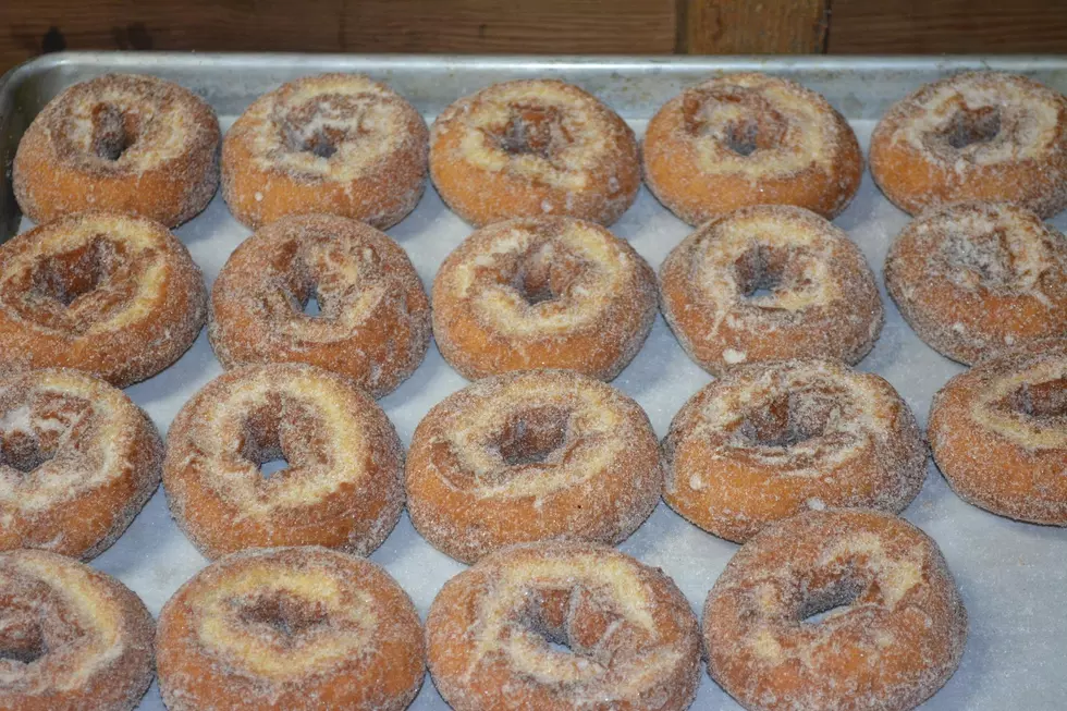 These Are The Best Cider Donuts in the Utica-Rome Area [RANKED]