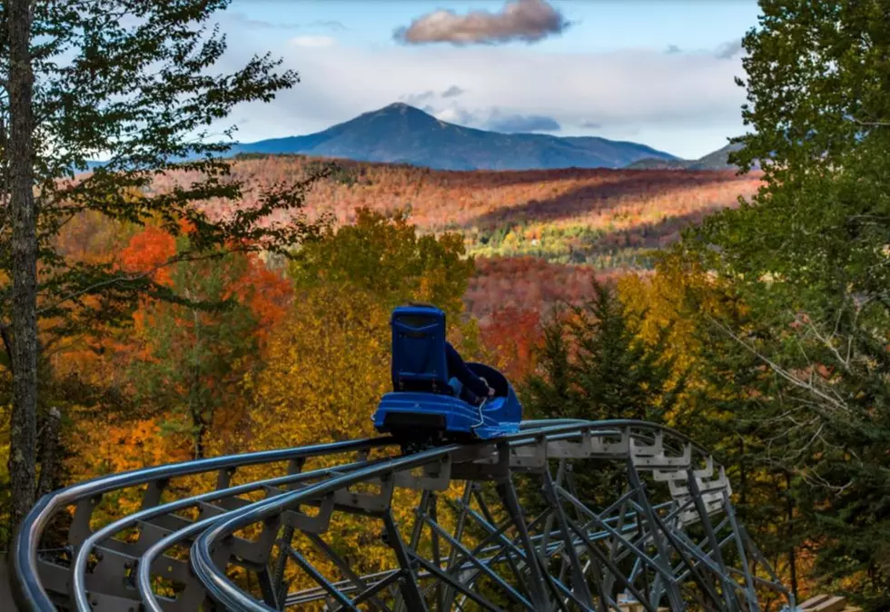 Ride the Longest Mountainside Coaster in the US Year-Round in the Adirondacks