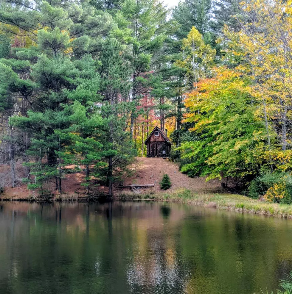 Relax in This Upstate NY Cozy Cabin, a Perfect Off-The-Grid Getaway