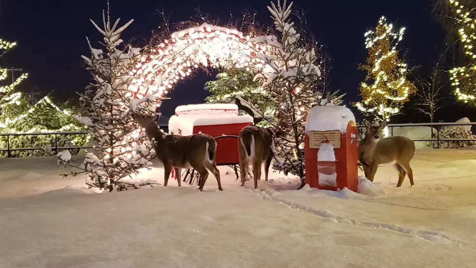 Stroll Through Old Forge to Celebrate a Christmas on Main Street