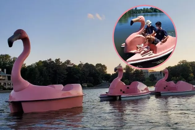All Aboard The Flamingos This Summer: Boat And Float On This Buffalo Lake