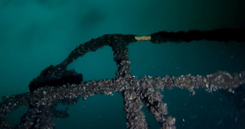 Scuba Diving Guide To Brilliant Shipwrecks St Lawrence River