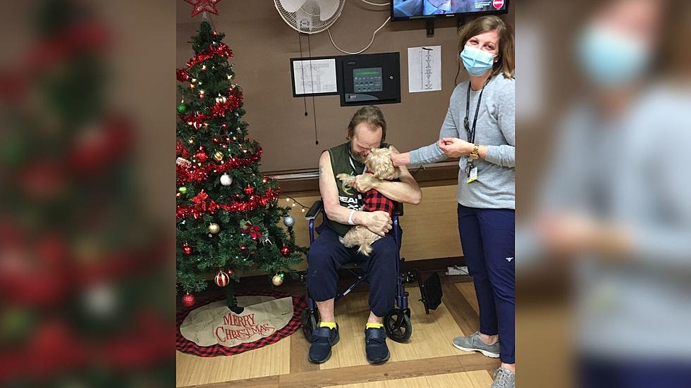 Rome New York Nurse Adopts Patient’s Dog To Visit Him After Hospitalization in Rehab