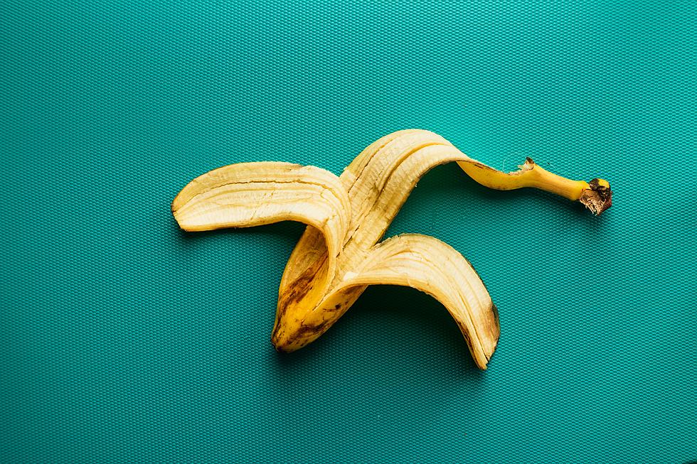 Why Are No Banana Peels Allowed In The City Of Utica This January?