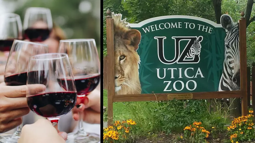 Taste and See Your Favorite Wines and Animals at The Utica Zoo’s Next Event