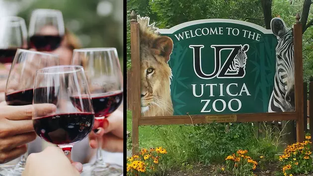 Taste and See Your Favorite Wines and Animals at The Utica Zoo&#8217;s Next Event