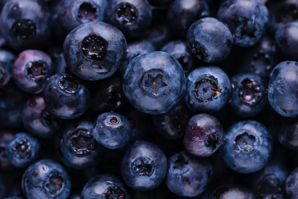 It's National Blueberry Month - Here's Where To Pick Your Own