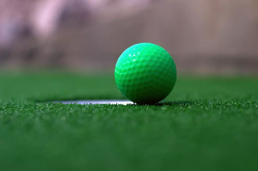 Test Your Golfing At This Upstate New York Mini Golf Tournament