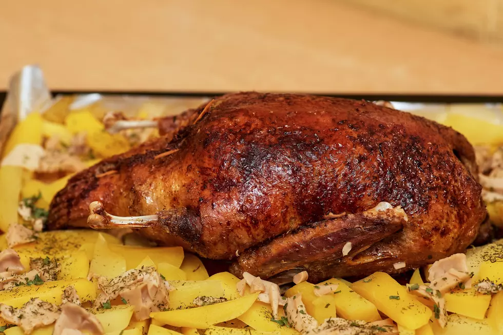 You Could See This Bird On New York Tables This Thanksgiving