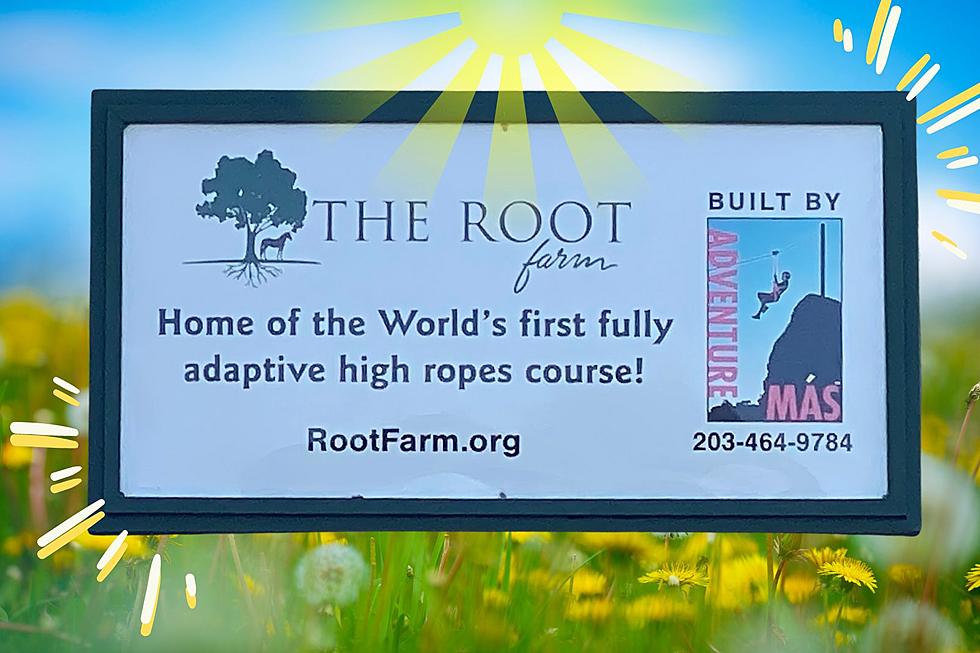 The LOVE is Palpable at The Root Farm in Sauquoit