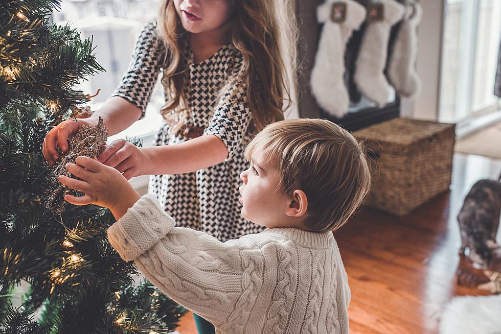 Have A Fourth Grader? You Get A FREE Christmas Tree In New York
