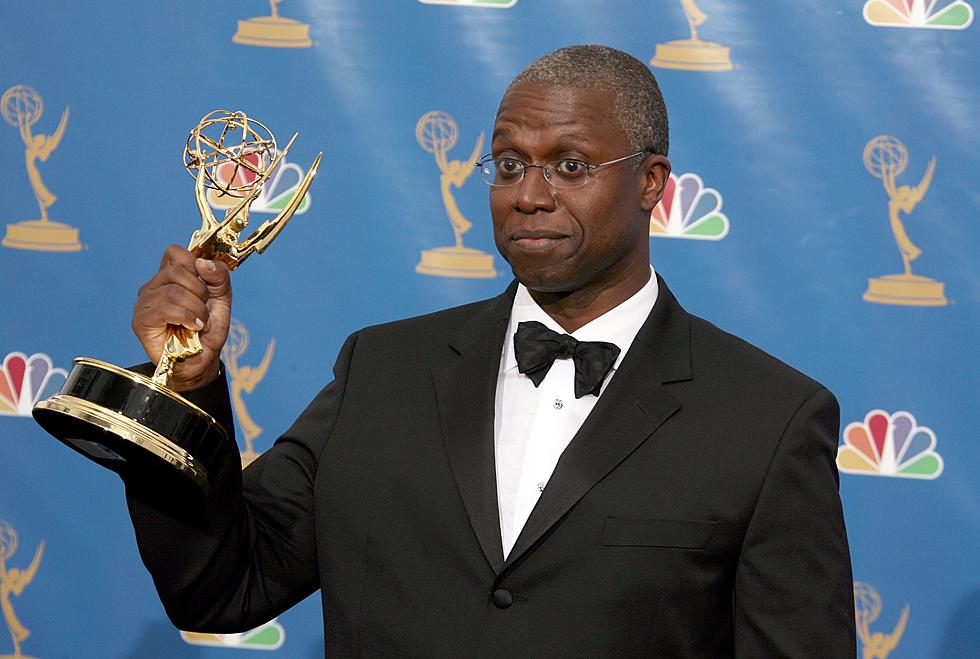 NY Fans Reeling Over Sudden Passing of Brooklyn 99’s ‘Captain Holt’.