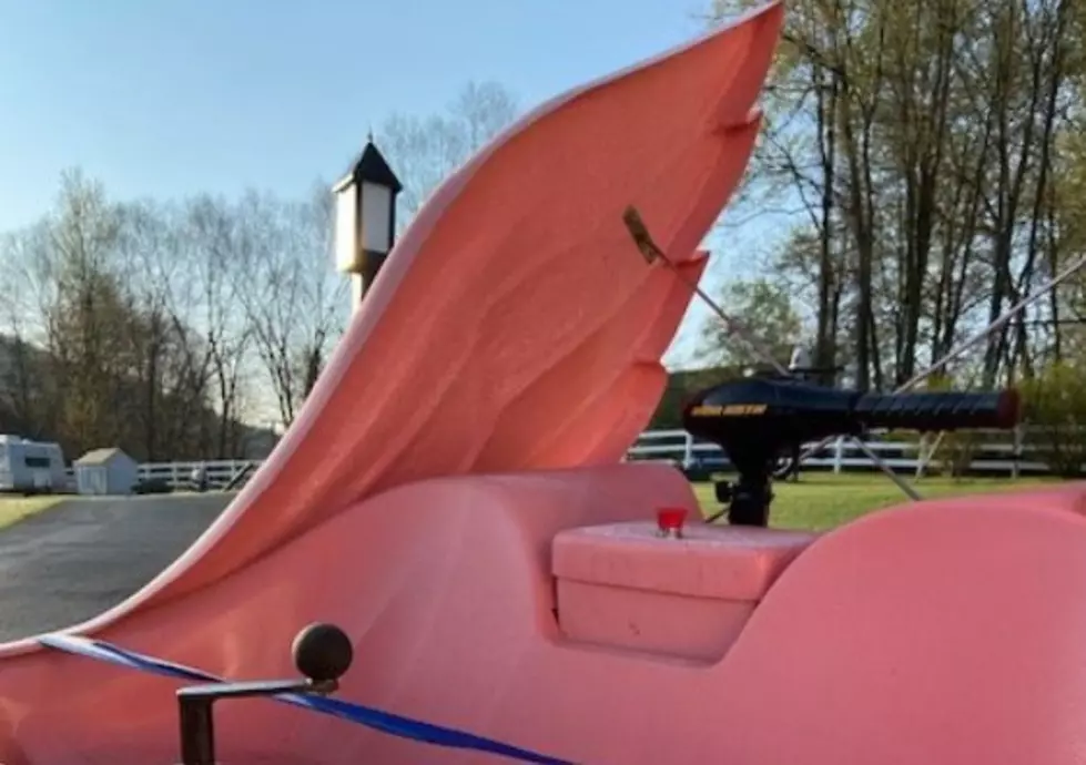 1 Super Rare Pink Boat For Sale In New York