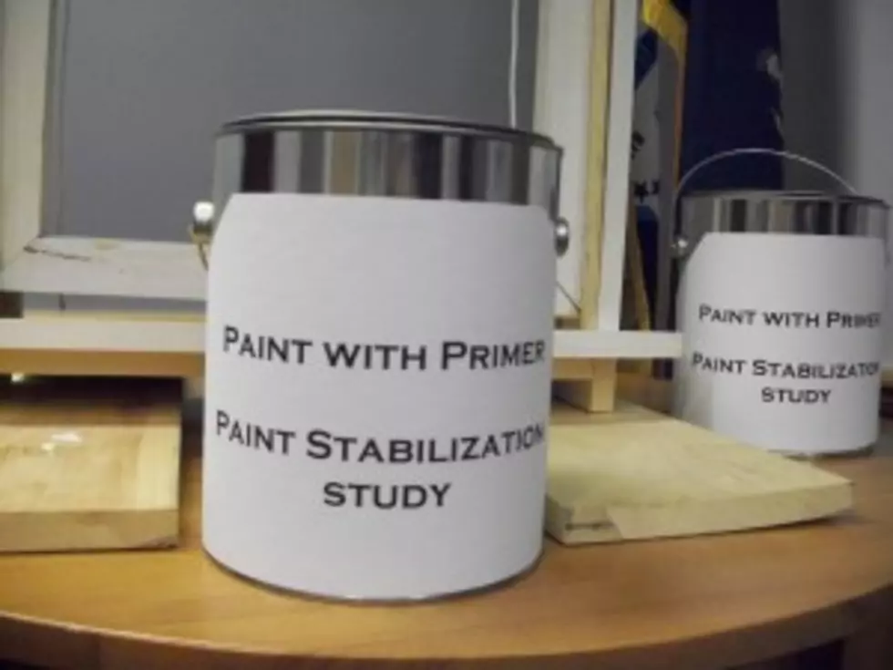 Oneida County Paint Stabilization Pilot Study