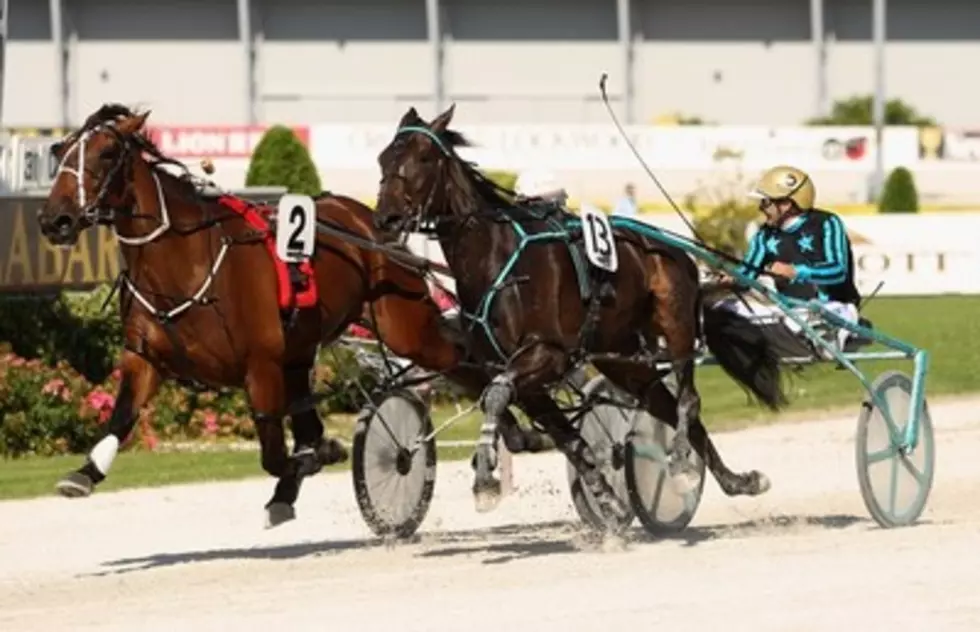 New Racino Could Close The Gate At Vernon Downs