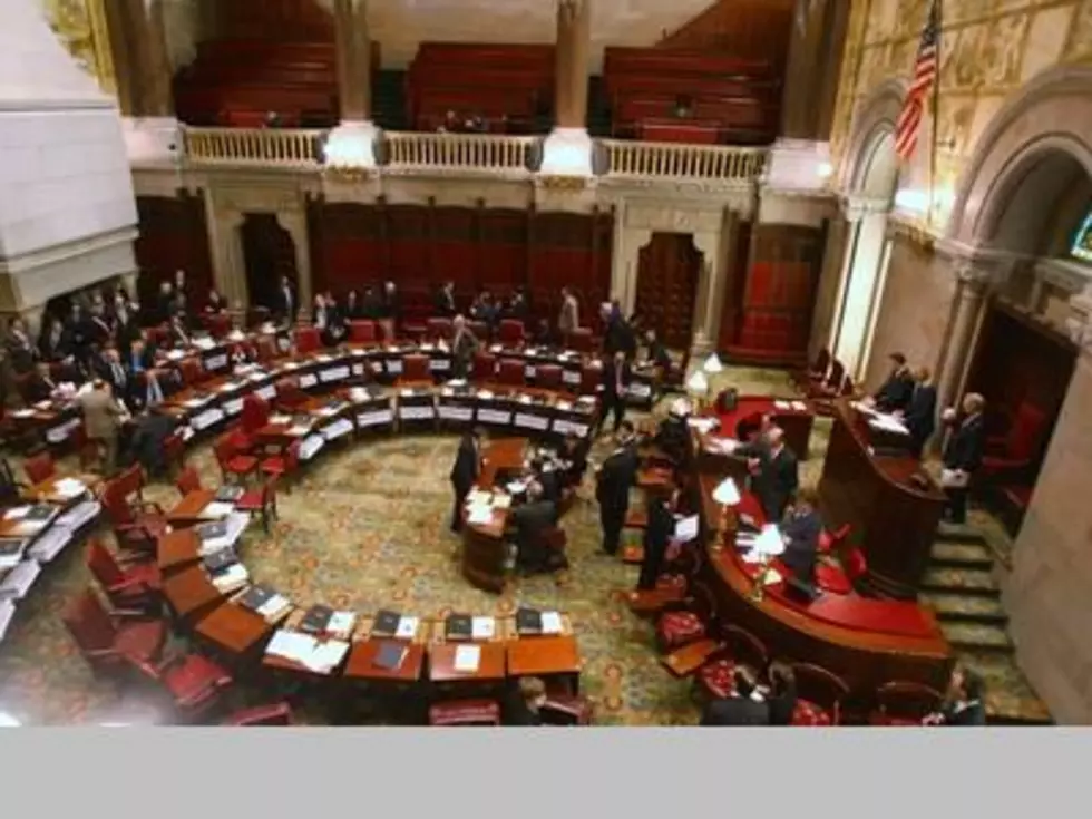 State Senate Passes Budget Resolution