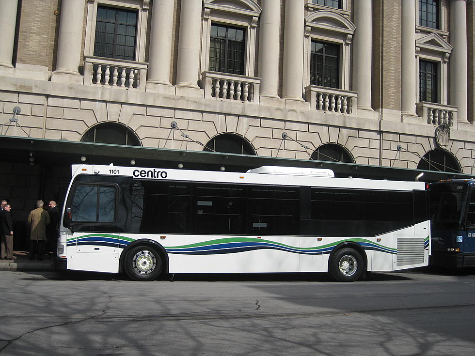 New Locally-Manufactured Buses Serving Utica