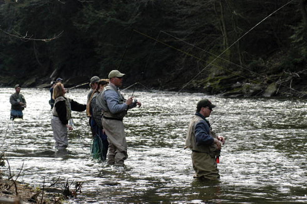 DEC: Trout Season Begins April 1, More Than 2 Million Trout To Be Stocked