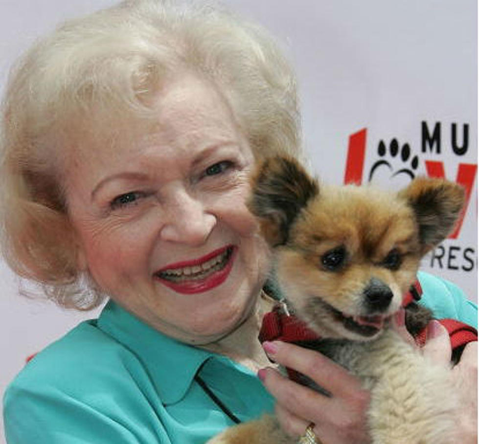 Want To Have Dinner With Betty White?  She’s Auctioning Herself On eBay For The SPCA