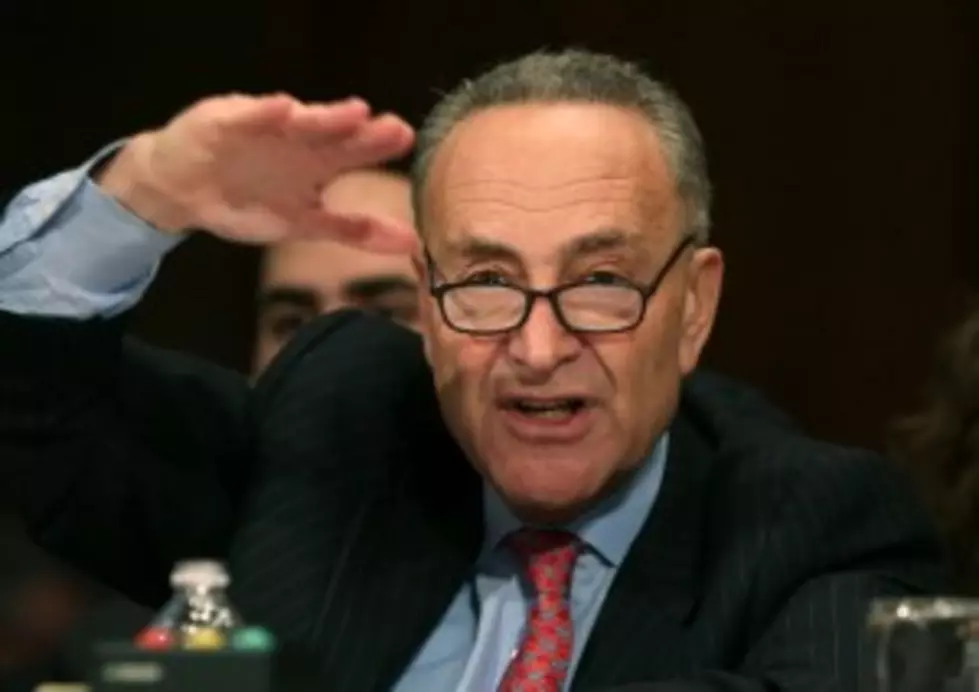 Schumer Says NRA Is Turning People Off