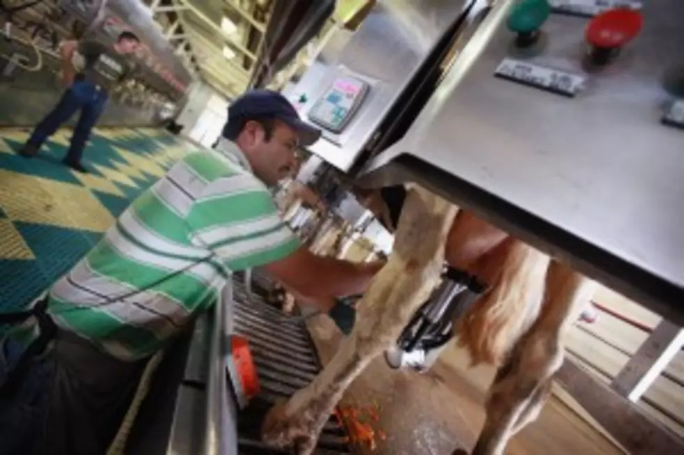 Is Greek Yogurt Helping Or Hurting Dairy Farmers In New York?