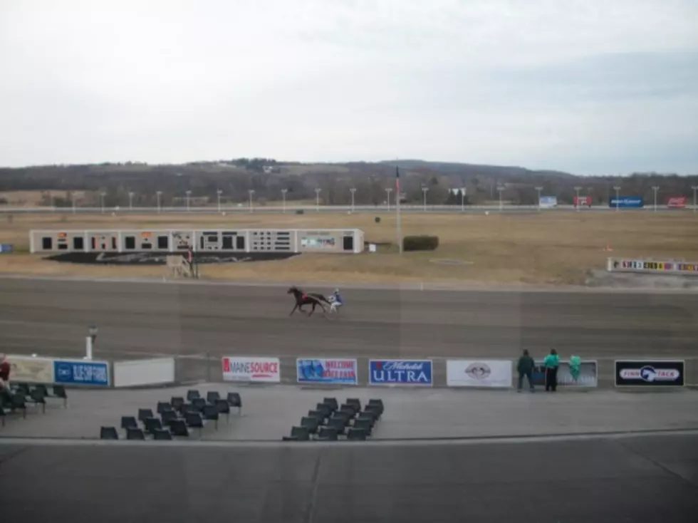 Three More Horses At Vernon Downs Have Equine Herpes