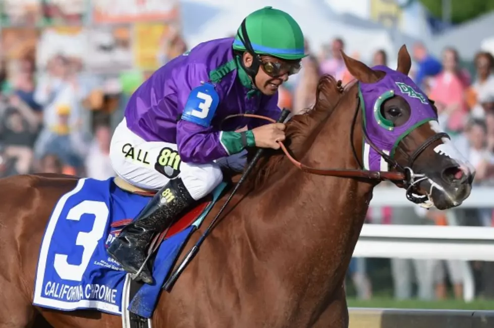 California Chrome&#8217;s Nasal Strips Banned In NY &#8211; Triple Crown Complication
