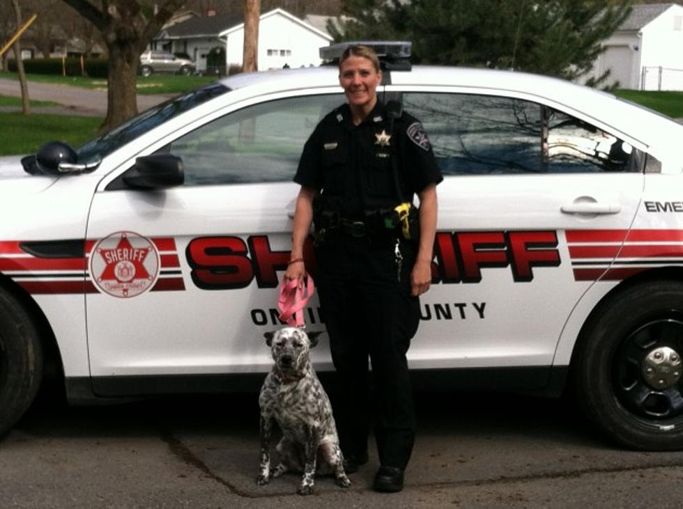 Oneida County Sheriff&#8217;s Deputy Adopts Abandoned Dog
