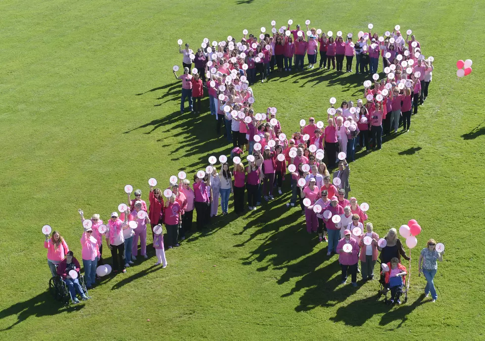 Human Pink Ribbon Formed To Raise Breast Cancer Awareness