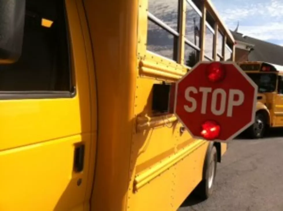New York To Let Schools Put Cameras On School Bus Stop Arms