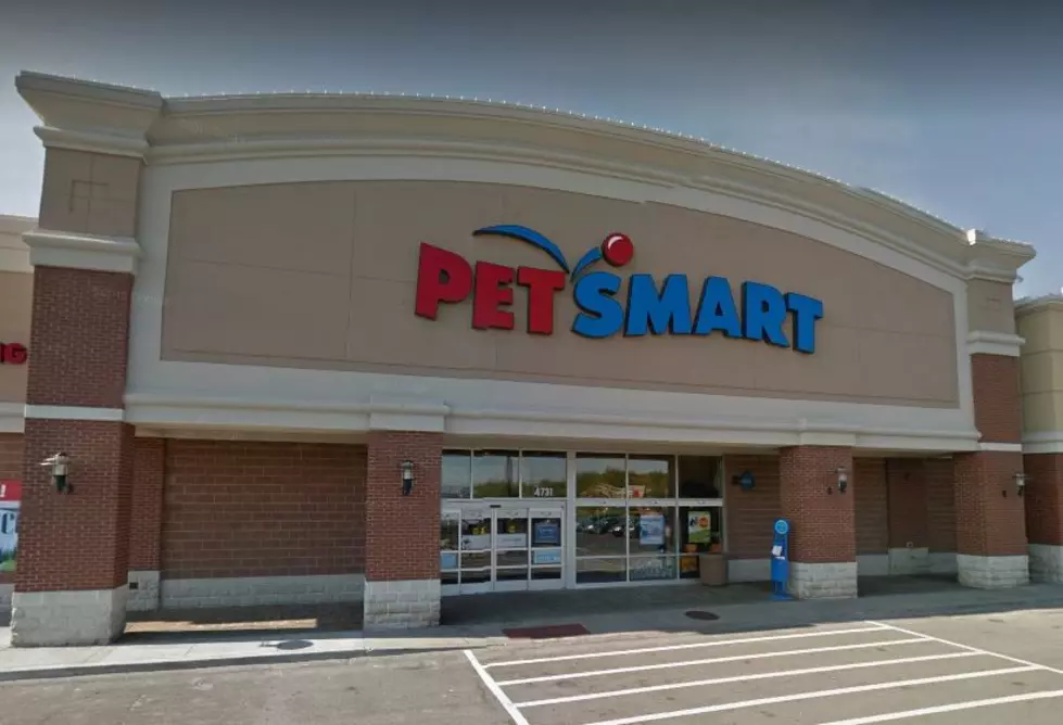 Armed Robbery At PetSmart