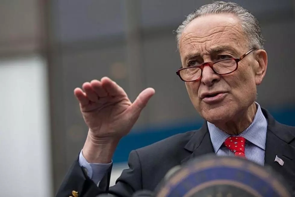 Schumer Visits All 62 Counties In New York In 2017