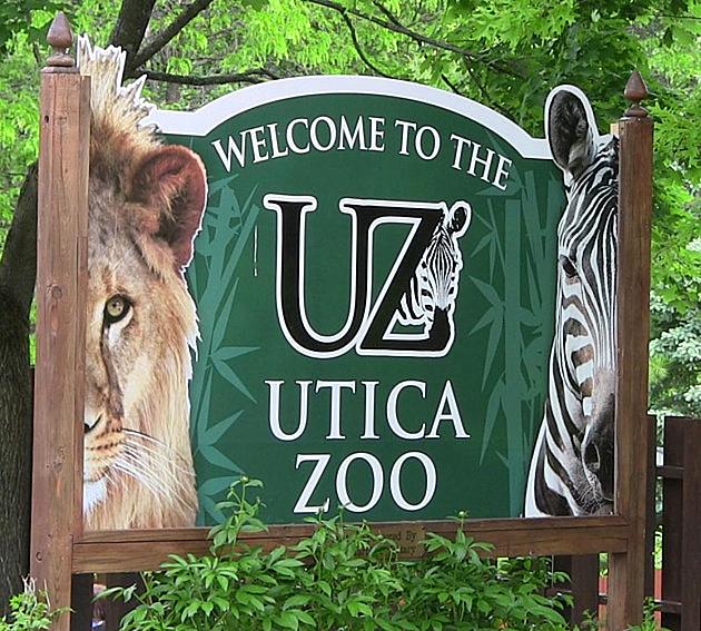 Utica Zoo Taking Extra Precautions To Keep Animals Cool